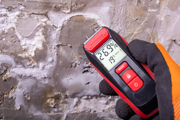 Best HVAC Mold Remediation in Byram, CT