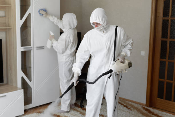 Byram, CT Mold Remediation Company